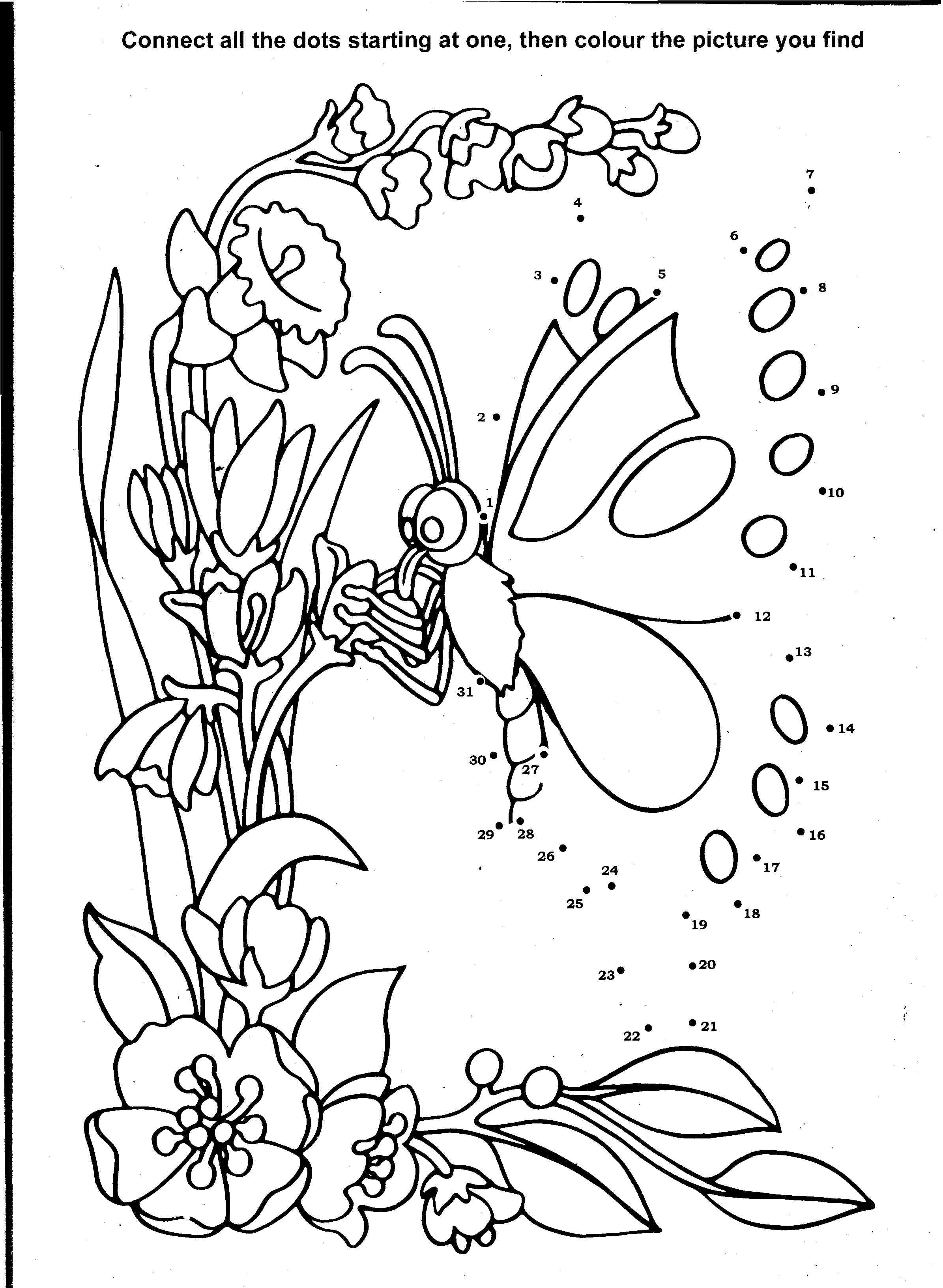Раскраска: бабочка (Животные) #15725 - Бесплатные раскраски для печати