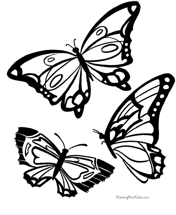 Раскраска: бабочка (Животные) #15730 - Бесплатные раскраски для печати