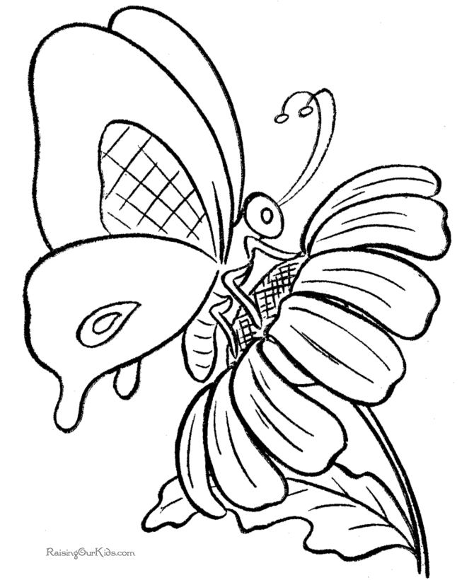 Раскраска: бабочка (Животные) #15732 - Бесплатные раскраски для печати