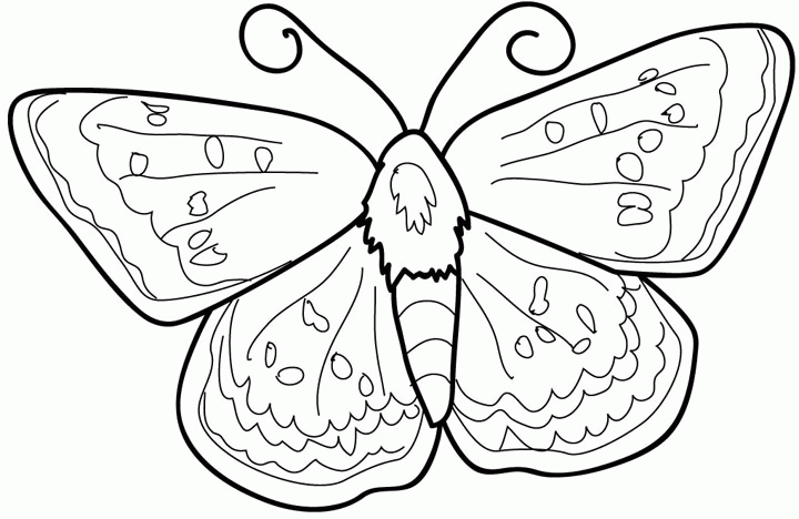 Раскраска: бабочка (Животные) #15740 - Бесплатные раскраски для печати