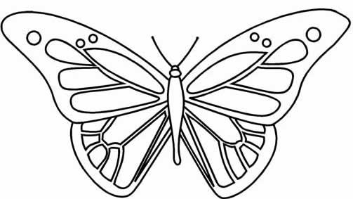 Раскраска: бабочка (Животные) #15744 - Бесплатные раскраски для печати