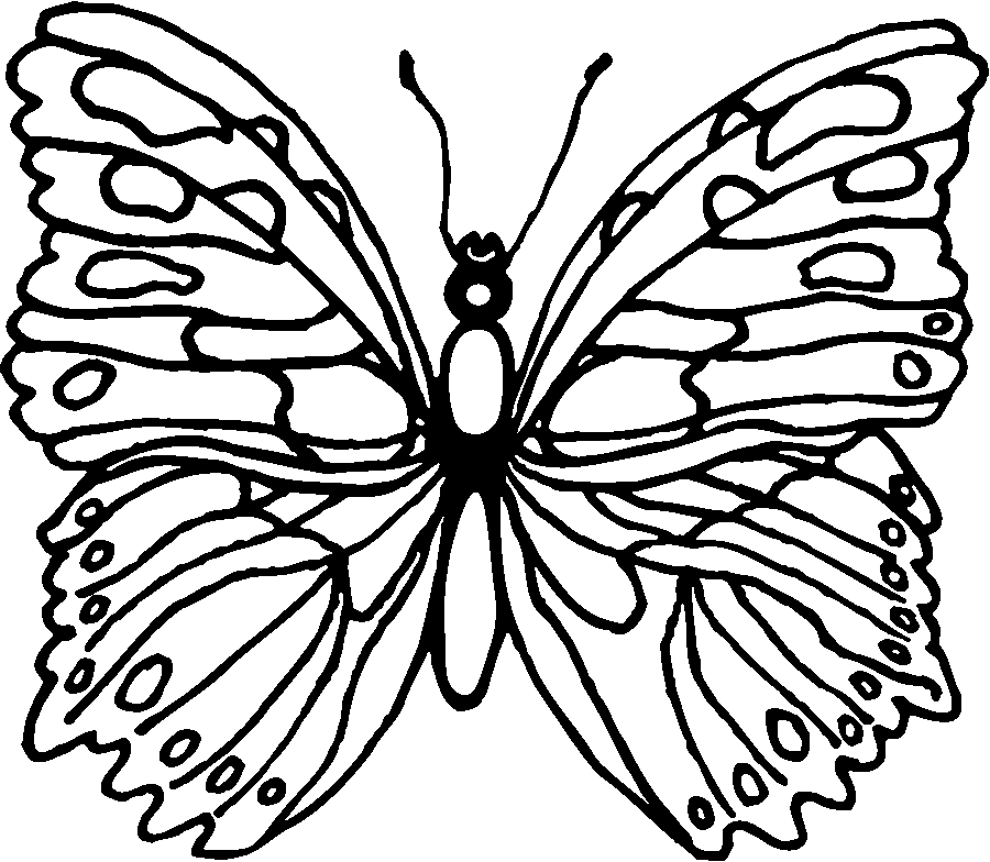 Раскраска: бабочка (Животные) #15746 - Бесплатные раскраски для печати