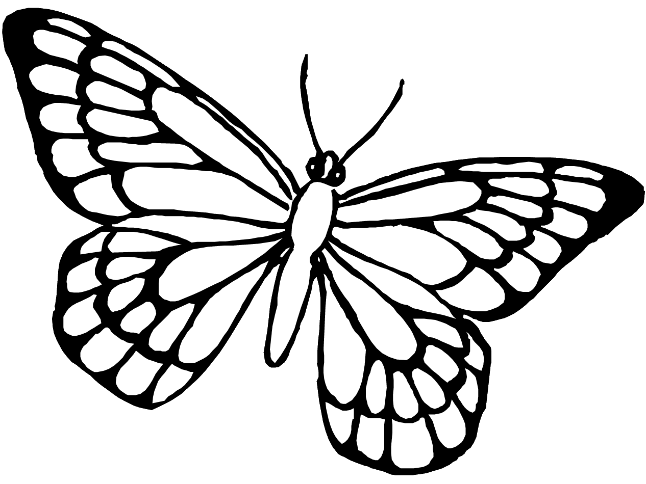 Раскраска: бабочка (Животные) #15768 - Бесплатные раскраски для печати