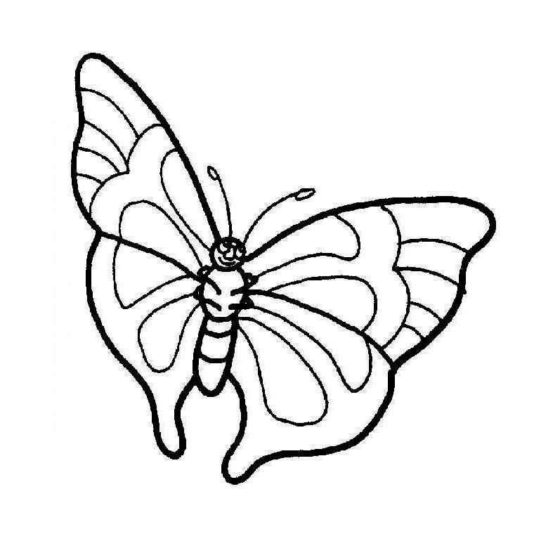 Раскраска: бабочка (Животные) #15777 - Бесплатные раскраски для печати