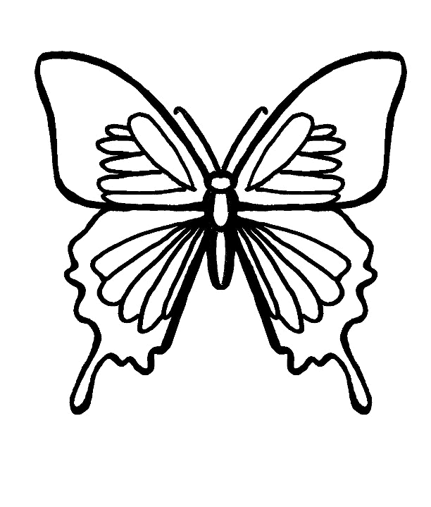 Раскраска: бабочка (Животные) #15779 - Бесплатные раскраски для печати