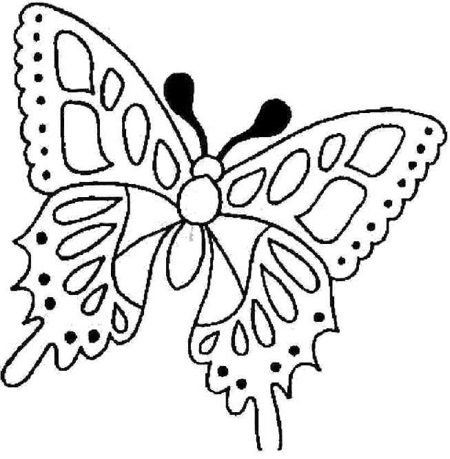 Раскраска: бабочка (Животные) #15781 - Бесплатные раскраски для печати