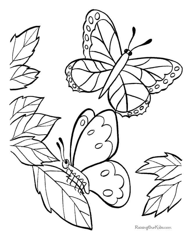 Раскраска: бабочка (Животные) #15792 - Бесплатные раскраски для печати