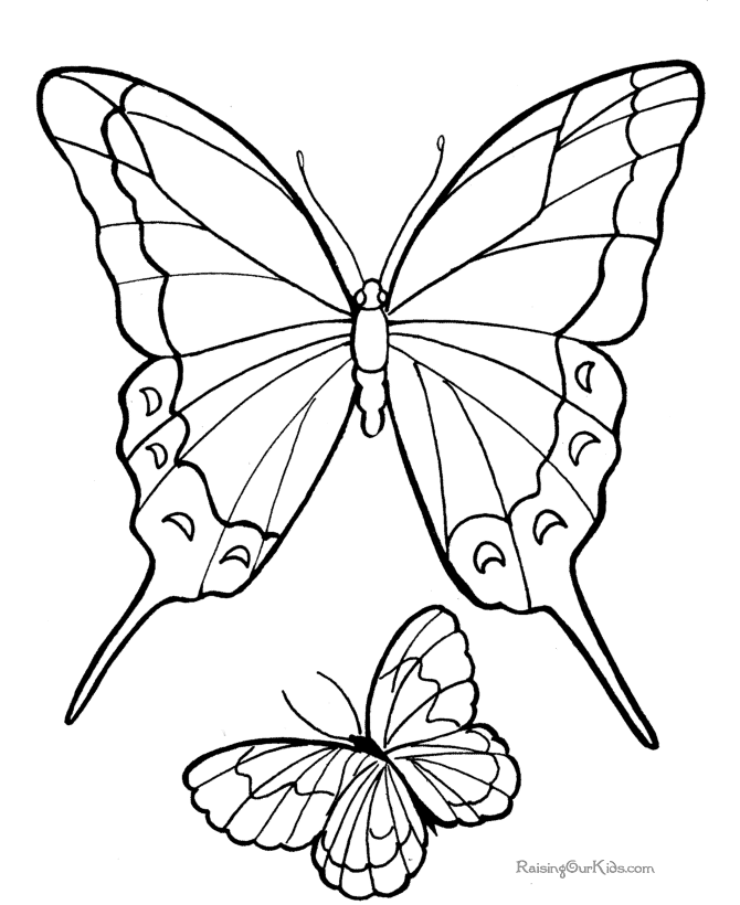 Раскраска: бабочка (Животные) #15797 - Бесплатные раскраски для печати