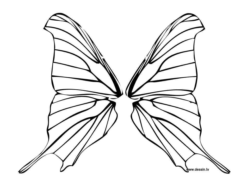 Раскраска: бабочка (Животные) #15807 - Бесплатные раскраски для печати