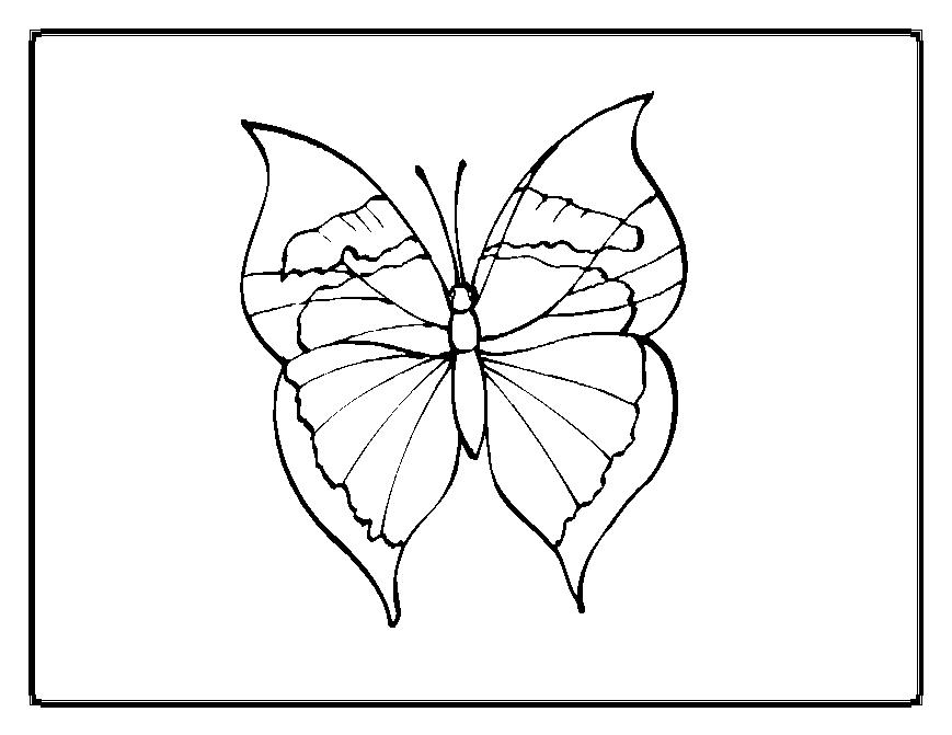Раскраска: бабочка (Животные) #15822 - Бесплатные раскраски для печати