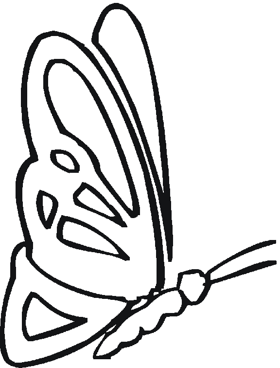 Раскраска: бабочка (Животные) #15840 - Бесплатные раскраски для печати