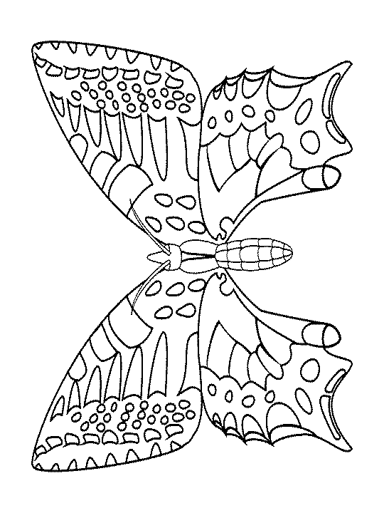 Раскраска: бабочка (Животные) #15844 - Бесплатные раскраски для печати