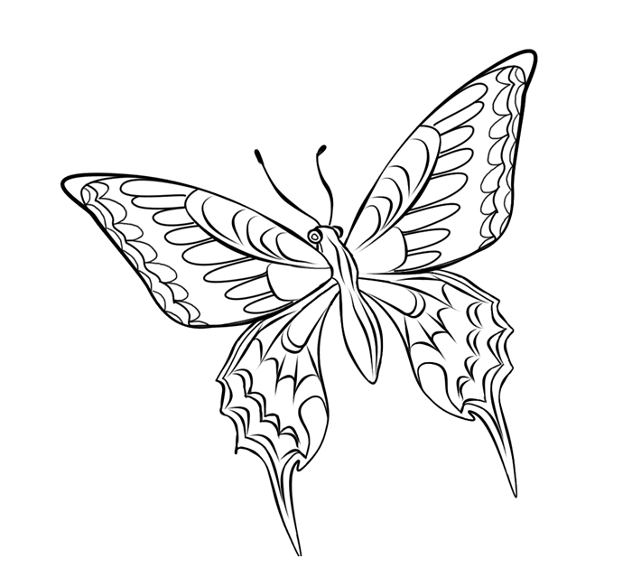 Раскраска: бабочка (Животные) #15846 - Бесплатные раскраски для печати