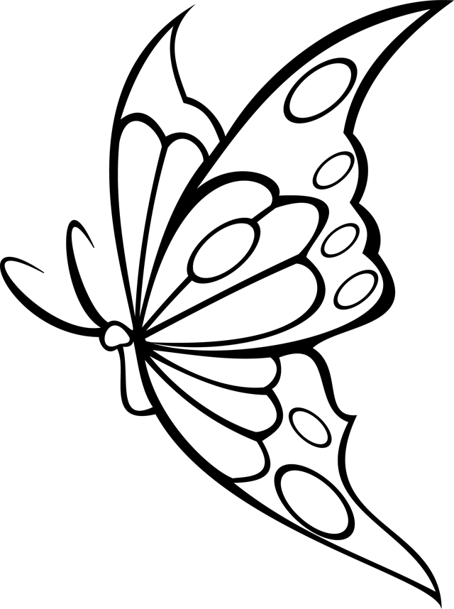 Раскраска: бабочка (Животные) #15848 - Бесплатные раскраски для печати