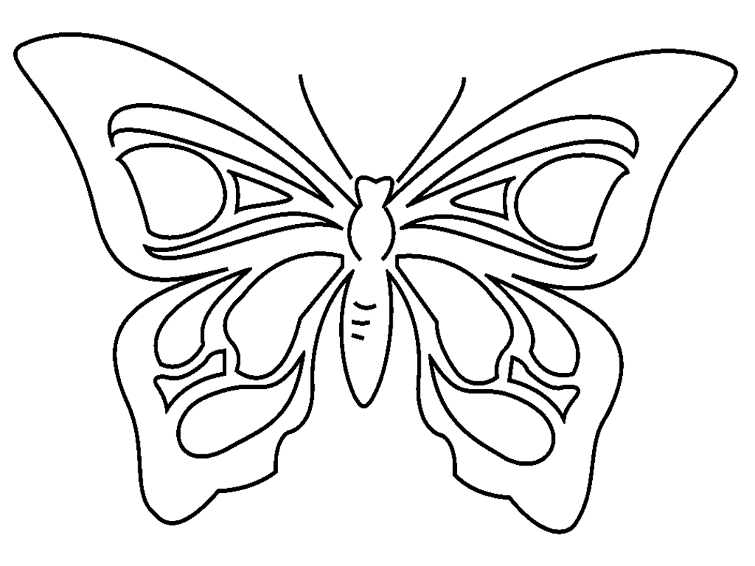 Раскраска: бабочка (Животные) #15850 - Бесплатные раскраски для печати