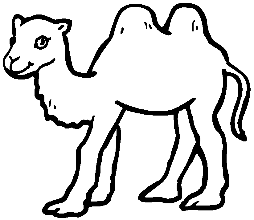 Раскраска: верблюд (Животные) #1661 - Бесплатные раскраски для печати