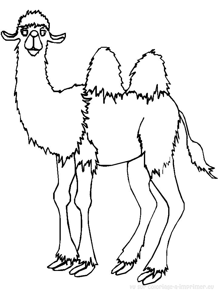 Раскраска: верблюд (Животные) #1667 - Бесплатные раскраски для печати