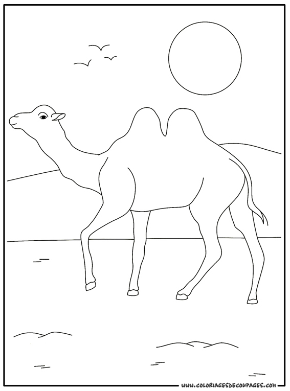 Раскраска: верблюд (Животные) #1672 - Бесплатные раскраски для печати