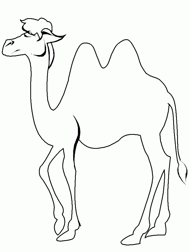 Раскраска: верблюд (Животные) #1674 - Бесплатные раскраски для печати