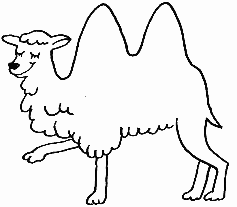 Раскраска: верблюд (Животные) #1675 - Бесплатные раскраски для печати
