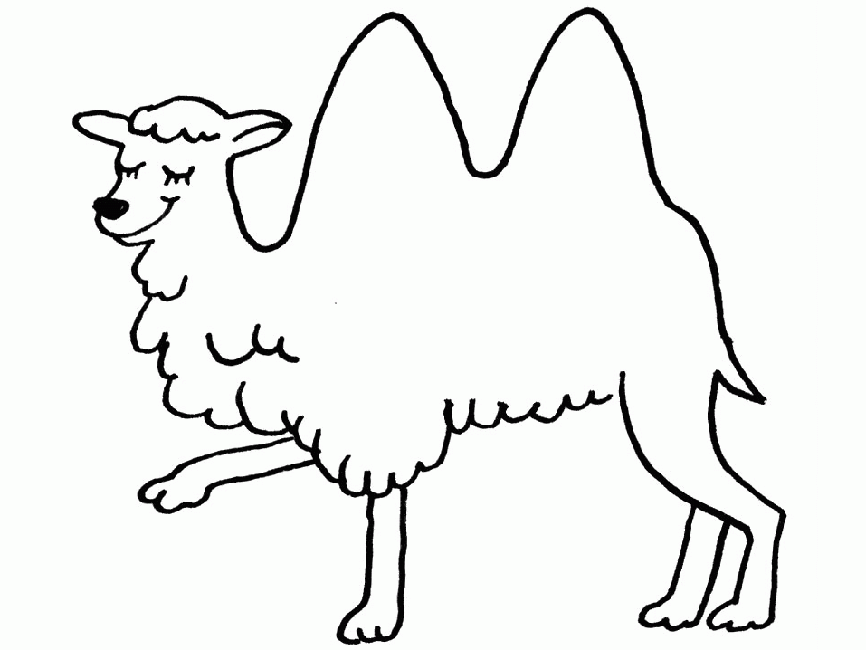 Раскраска: верблюд (Животные) #1683 - Бесплатные раскраски для печати