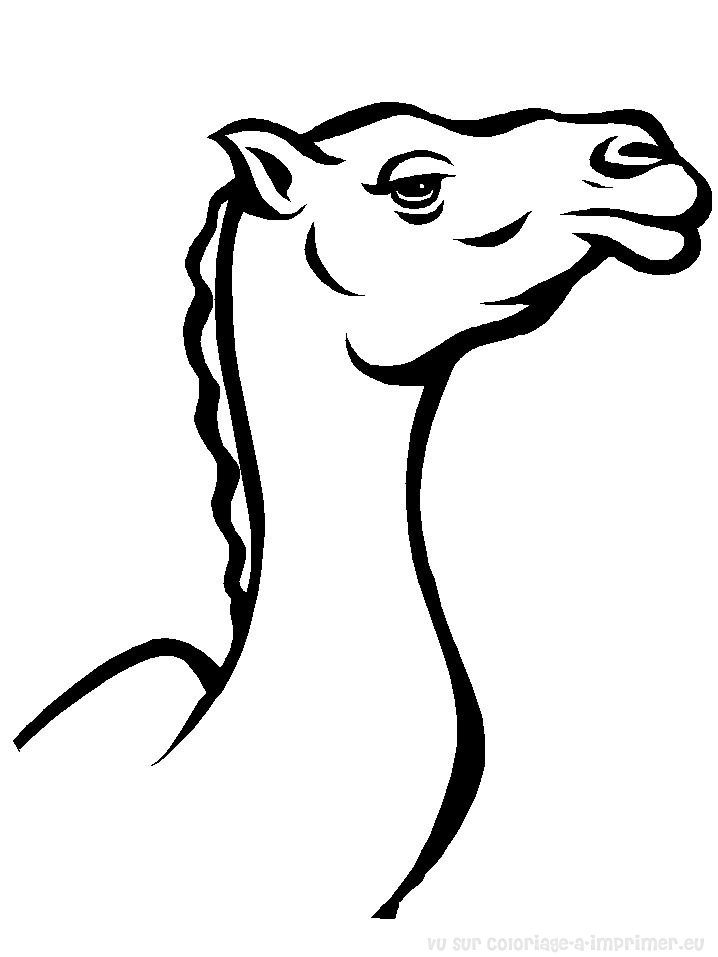 Раскраска: верблюд (Животные) #1685 - Бесплатные раскраски для печати