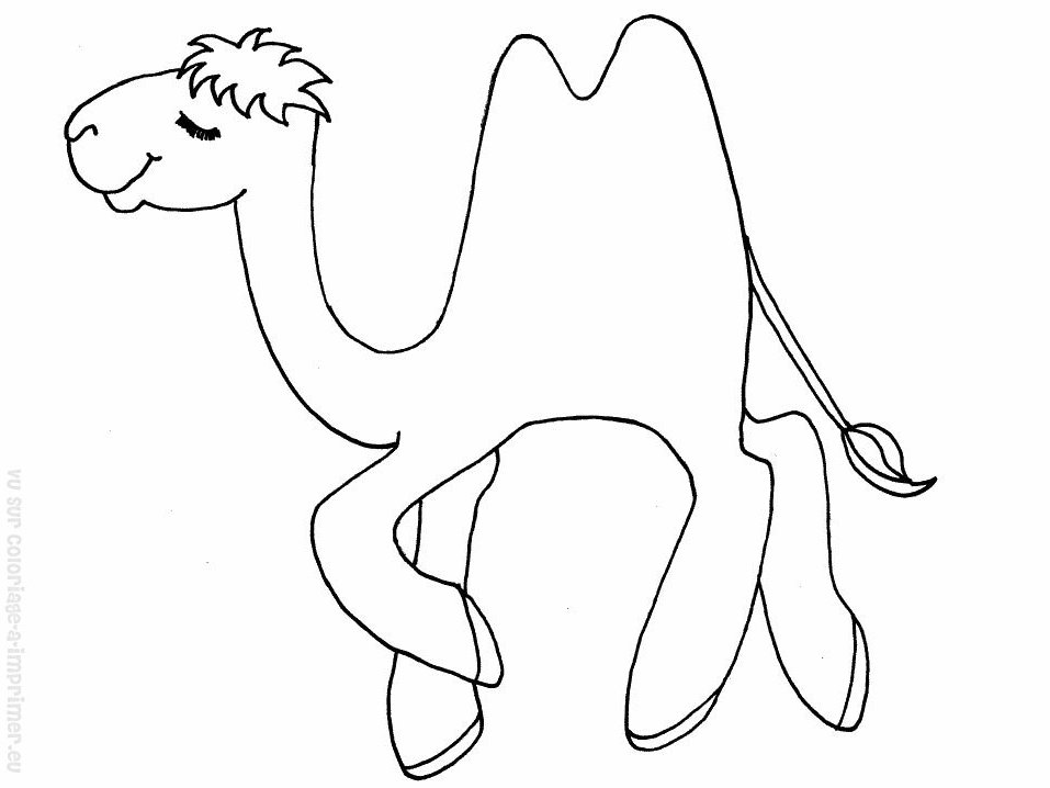 Раскраска: верблюд (Животные) #1688 - Бесплатные раскраски для печати