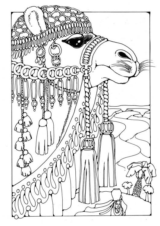 Раскраска: верблюд (Животные) #1694 - Бесплатные раскраски для печати