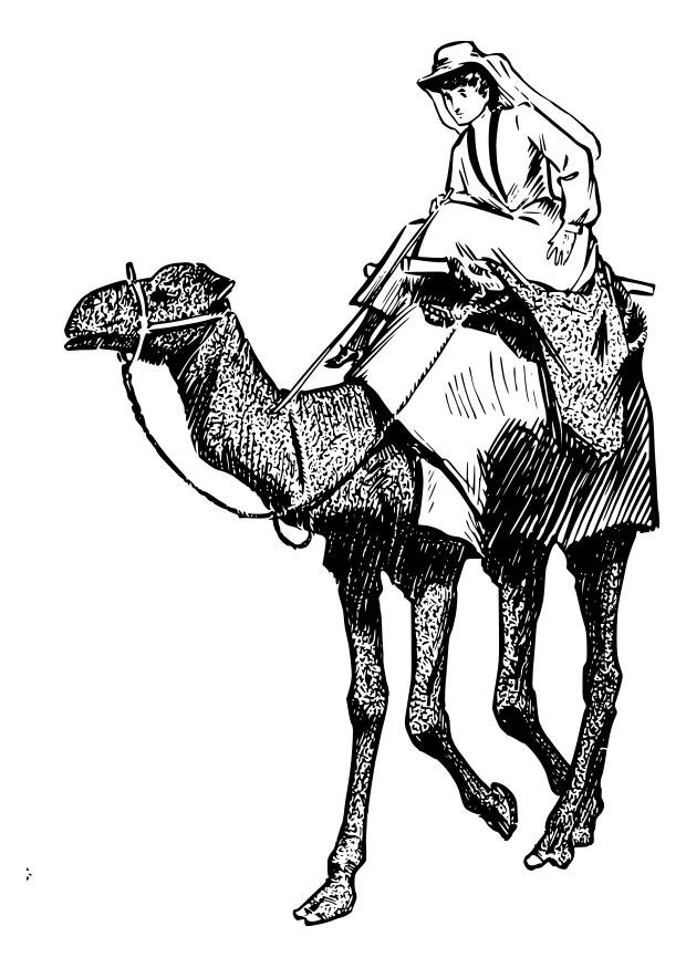 Раскраска: верблюд (Животные) #1705 - Бесплатные раскраски для печати