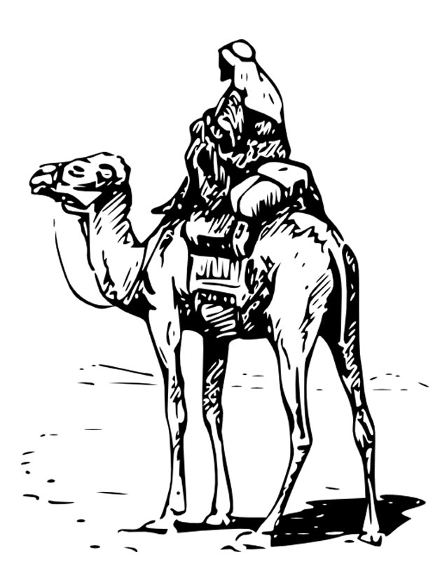 Раскраска: верблюд (Животные) #1729 - Бесплатные раскраски для печати