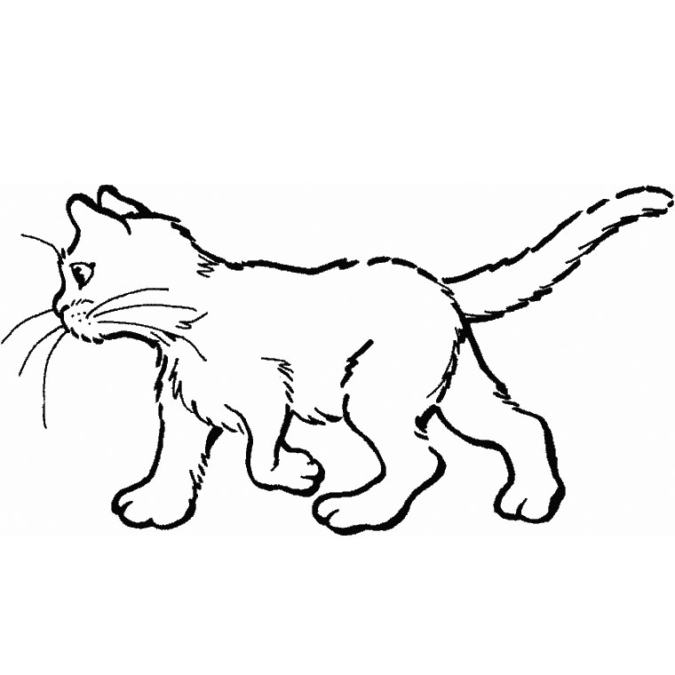 Раскраска: кот (Животные) #1764 - Бесплатные раскраски для печати