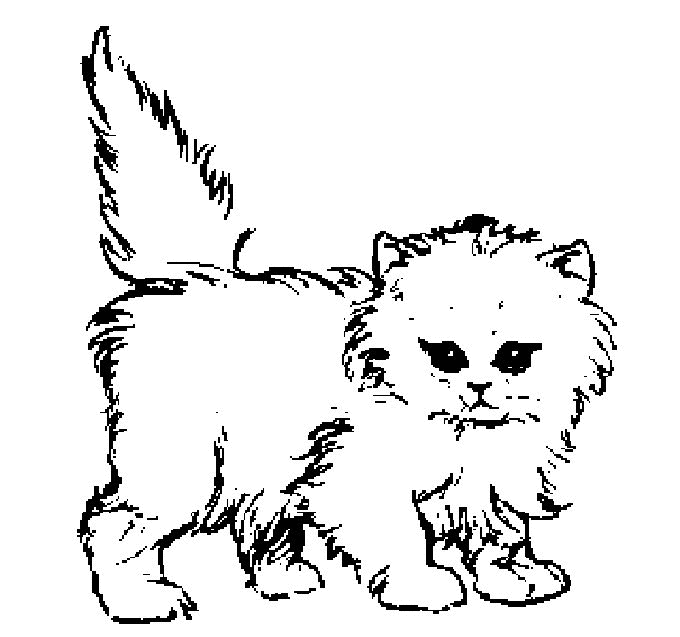 Раскраска: кот (Животные) #1770 - Бесплатные раскраски для печати