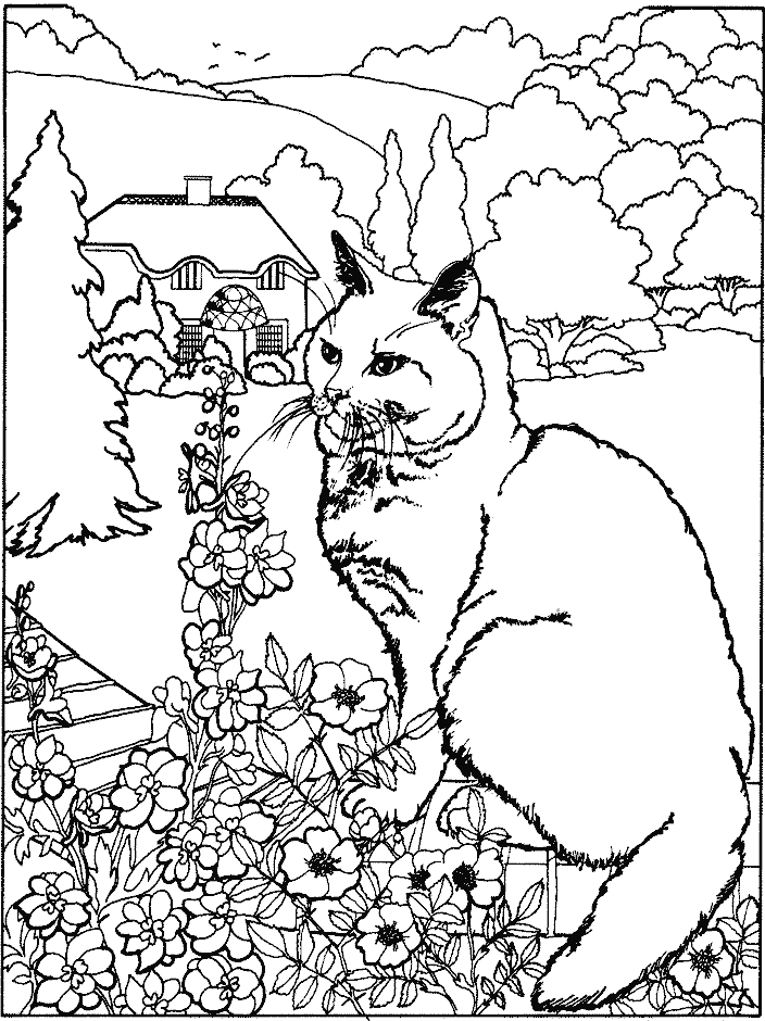 Раскраска: кот (Животные) #1790 - Бесплатные раскраски для печати
