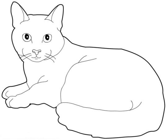 Раскраска: кот (Животные) #1793 - Бесплатные раскраски для печати