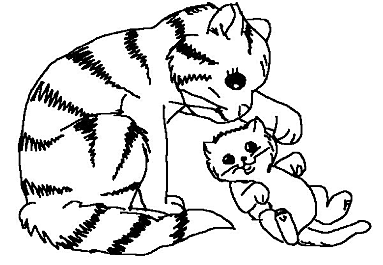 Раскраска: кот (Животные) #1799 - Бесплатные раскраски для печати