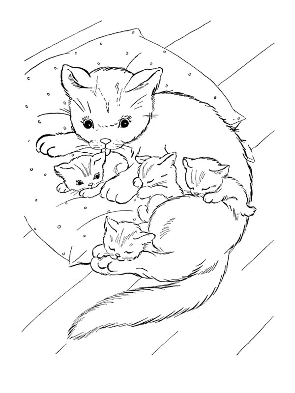 Раскраска: кот (Животные) #1805 - Бесплатные раскраски для печати