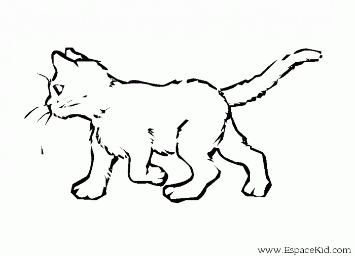 Раскраска: кот (Животные) #1812 - Бесплатные раскраски для печати