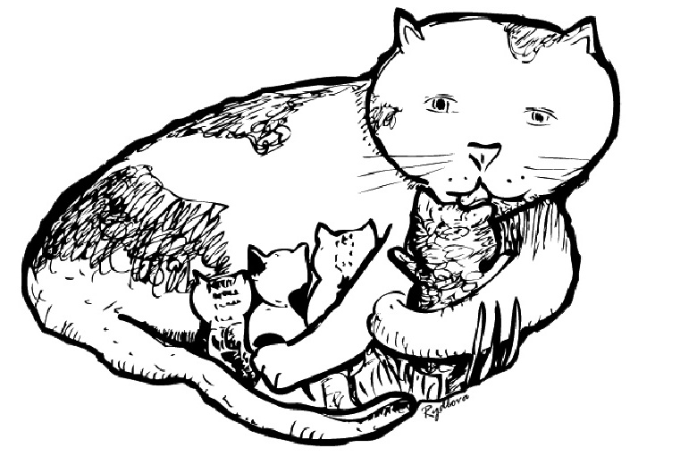 Раскраска: кот (Животные) #1821 - Бесплатные раскраски для печати