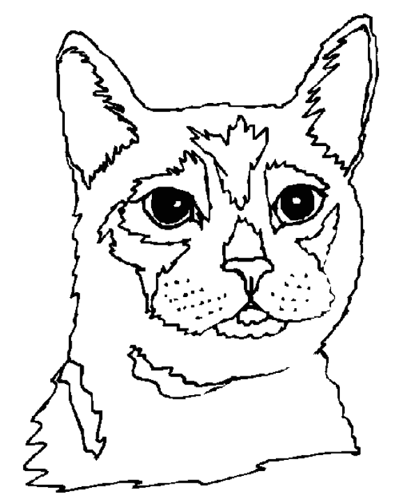 Раскраска: кот (Животные) #1856 - Бесплатные раскраски для печати