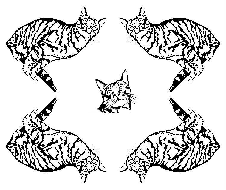 Раскраска: кот (Животные) #1900 - Бесплатные раскраски для печати