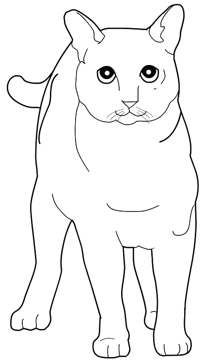 Раскраска: кот (Животные) #1935 - Бесплатные раскраски для печати