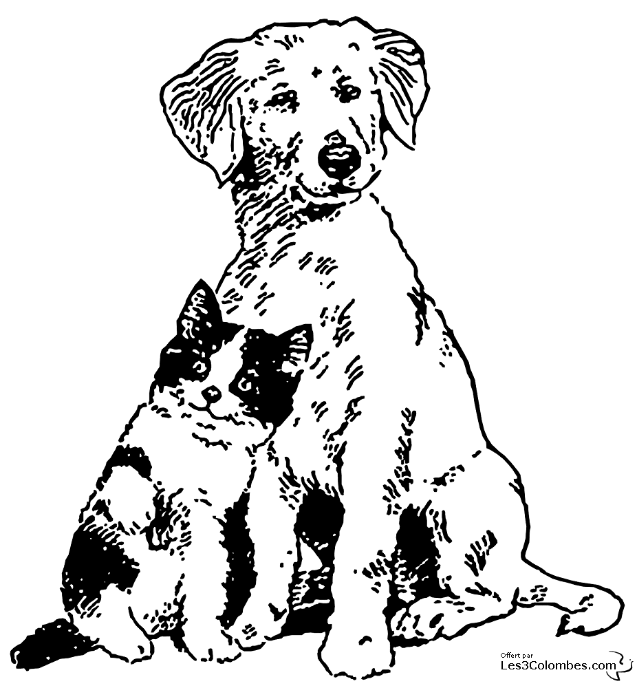 Раскраска: кот (Животные) #1944 - Бесплатные раскраски для печати