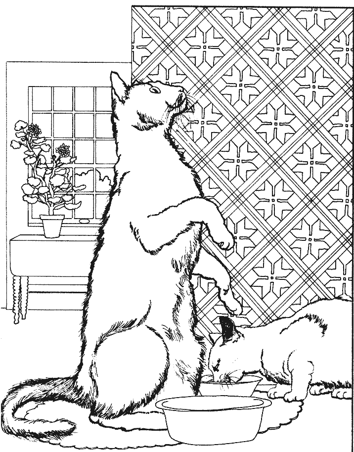 Раскраска: кот (Животные) #1947 - Бесплатные раскраски для печати
