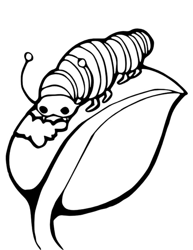 Раскраска: гусеница (Животные) #18250 - Бесплатные раскраски для печати