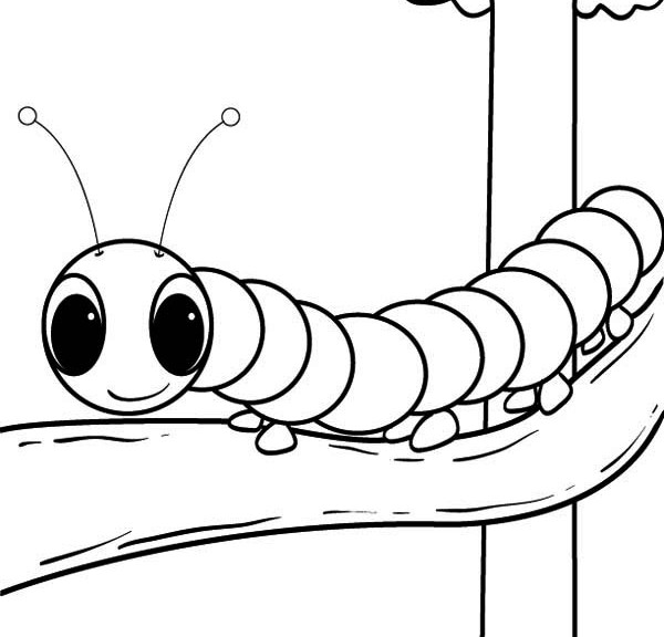 Раскраска: гусеница (Животные) #18273 - Бесплатные раскраски для печати