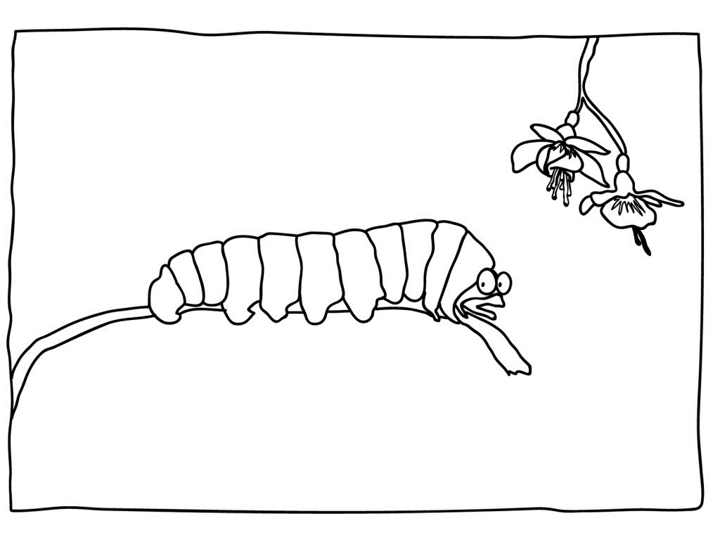 Раскраска: гусеница (Животные) #18363 - Бесплатные раскраски для печати