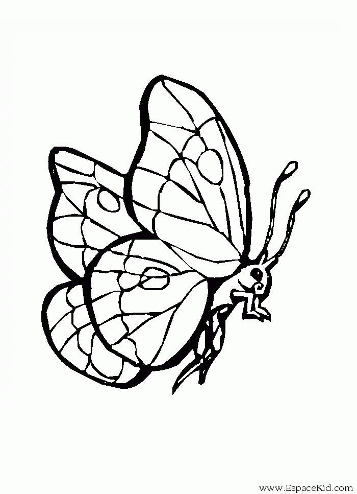 Раскраска: гусеница (Животные) #18385 - Бесплатные раскраски для печати