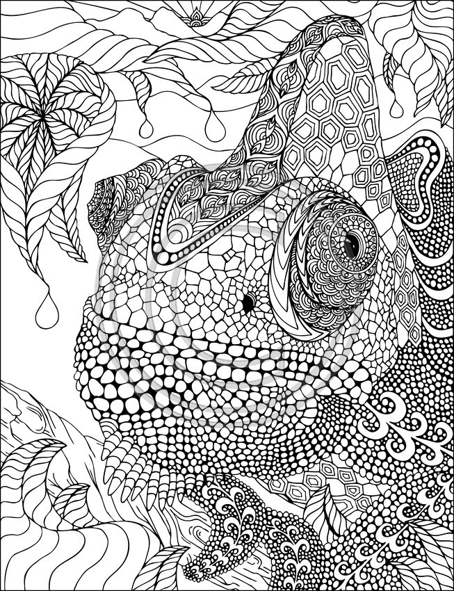 Раскраска: хамелеон (Животные) #1404 - Бесплатные раскраски для печати