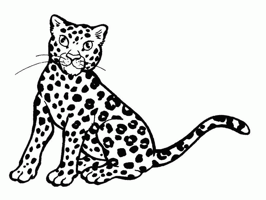 Раскраска: гепард (Животные) #7872 - Бесплатные раскраски для печати
