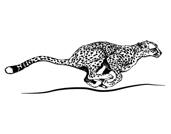 Раскраска: гепард (Животные) #7879 - Бесплатные раскраски для печати